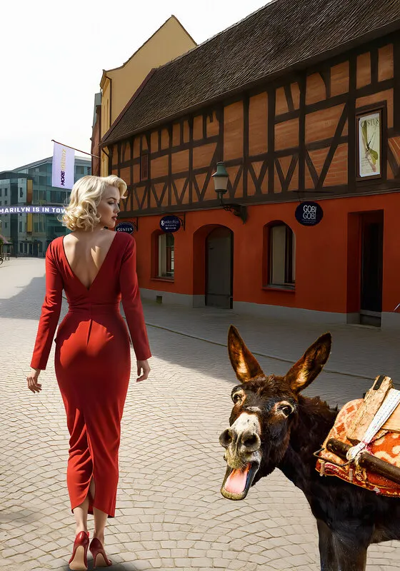 What An Ass!!! av Jörgen Thornberg