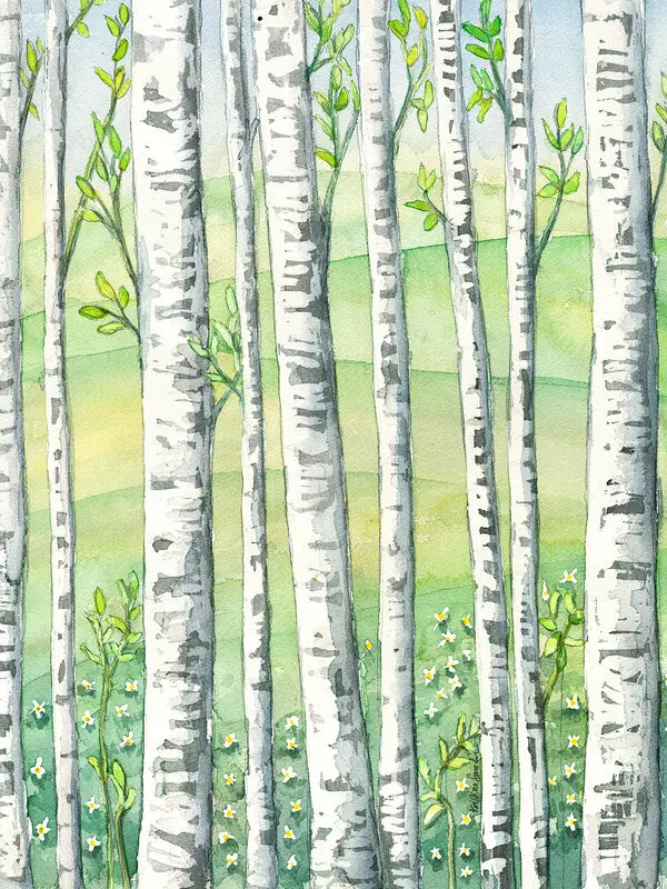 Akvarell Björkar vår av Kristina Sandin