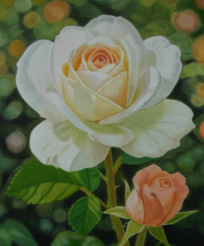 Oljemålning Blommande ros i romantiskt ljus - Oljemålning av vit och aprikos ros av Louisa Lindholm