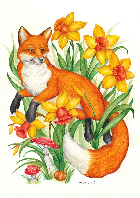 Akvarell Fox & Daffodils av Malu Cunali