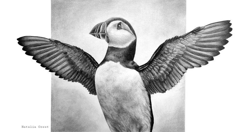 Puffin’ Up - Spirits of the North Collection av Natalia Orest