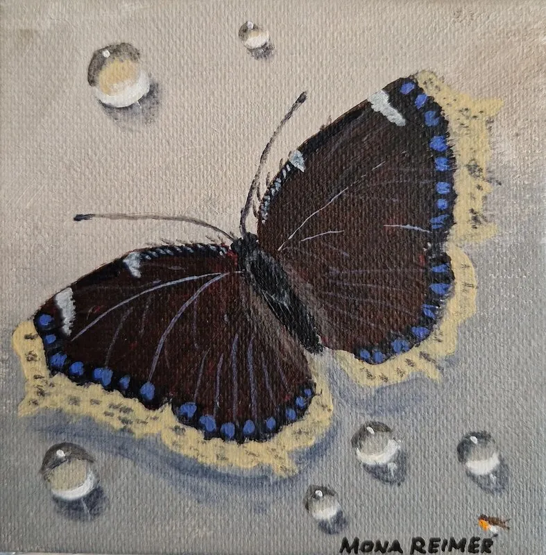 Akrylmålning Sorgmanteln av Mona Reimer