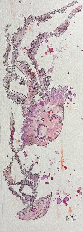 Akvarell Egot & Hasse av Sandra Bengtsson