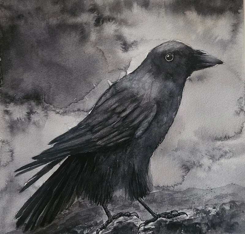 Akvarell Spejar av Susanna Nicolosi