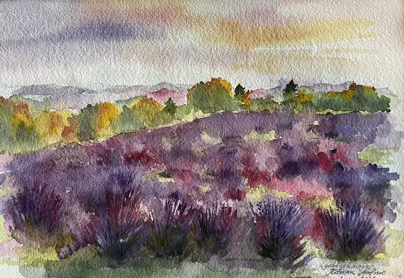 Akvarell Purple autumn heather blossoms av Katarina Adolfsson