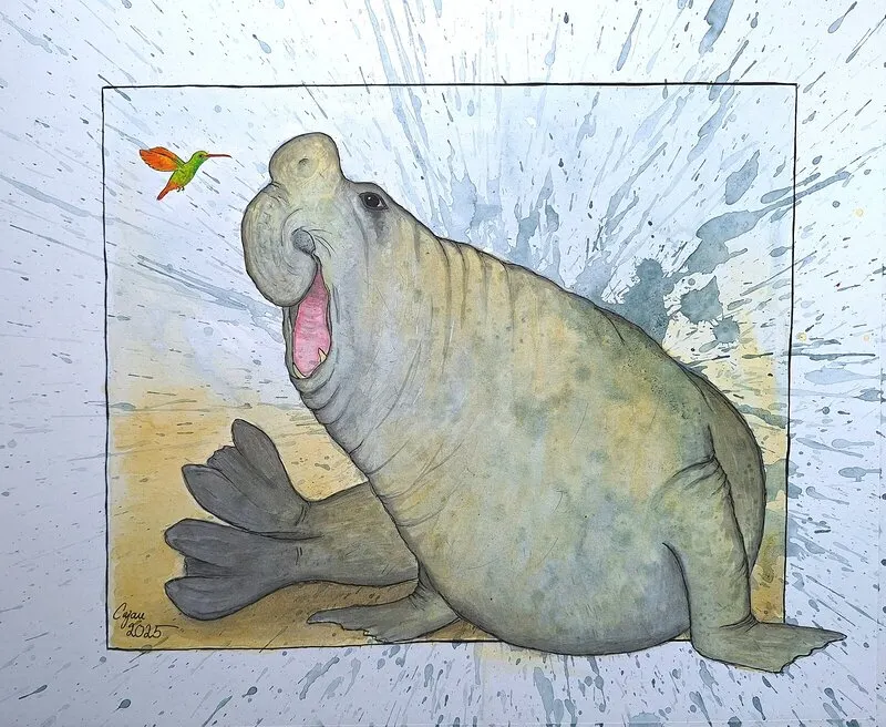 Sjöelefant av Carina Cajan Jansson