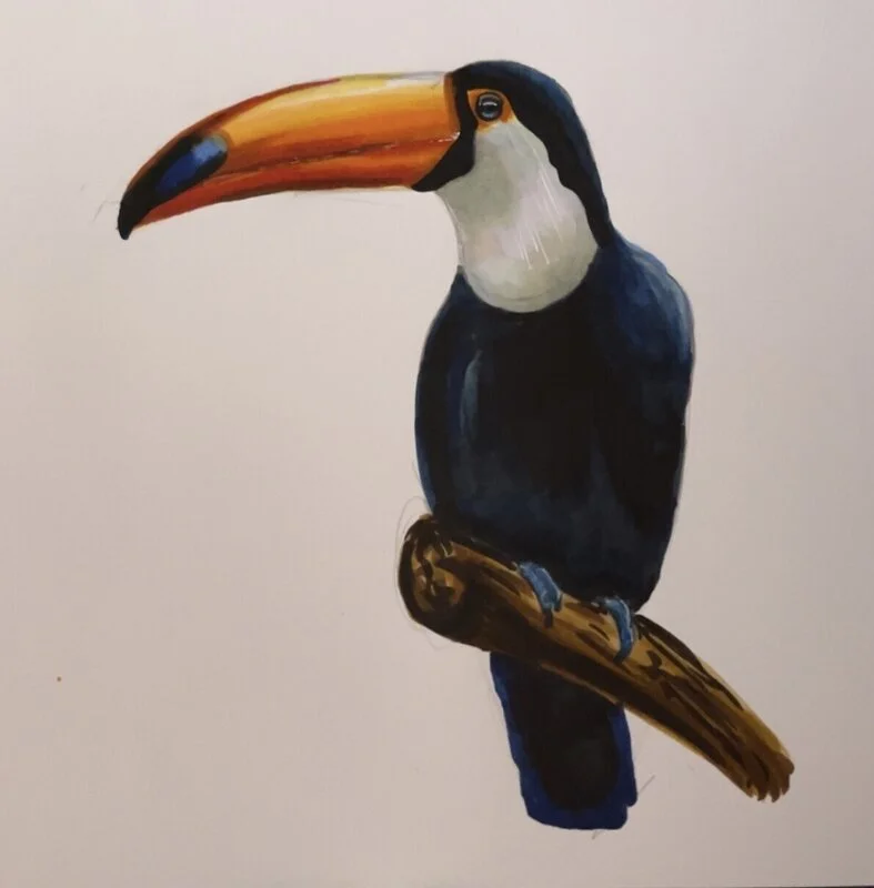 Tucan av Lisa Källström