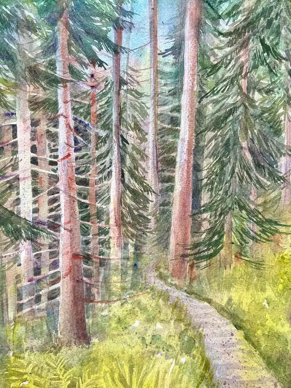 Akvarell I skogen av Anna Wolf