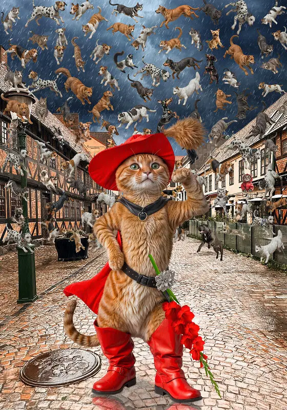 It's Raining Cats and Dogs av Jörgen Thornberg