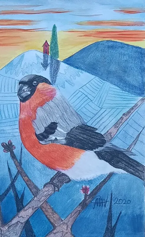 Akvarell Domherren av Åse Motsanos Nordgren