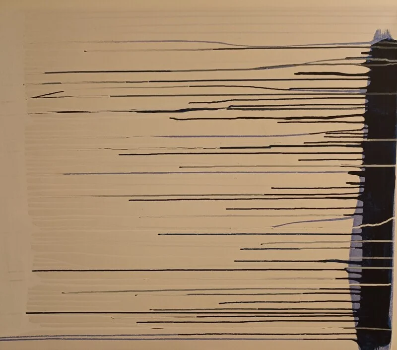 Vibrationer i Universum av Agneta Baudou