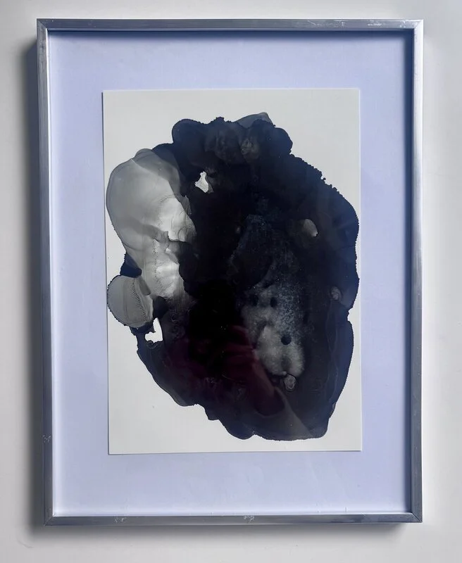 Descent into the Quiet av Svitlana Shcherban