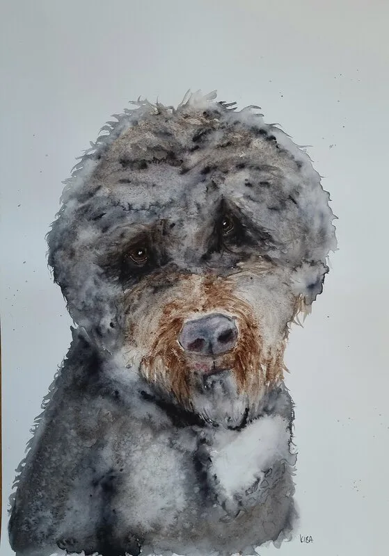 Akvarell Chewie av Kiba Gustafsson