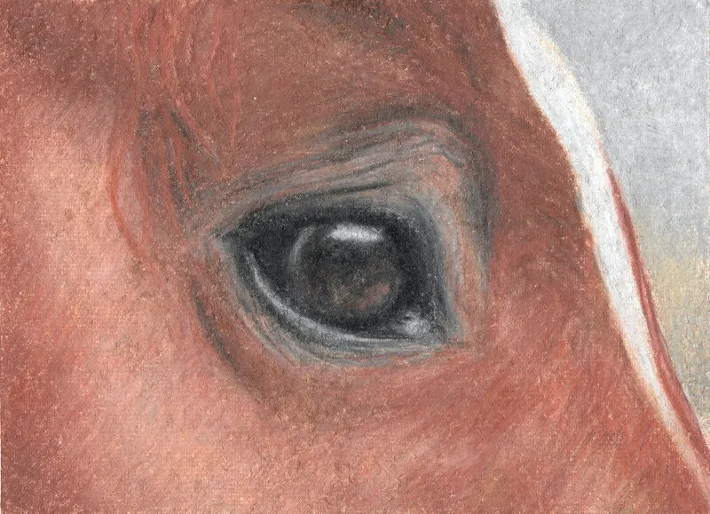 Ögonblick häst # 1 av Stina Sjöstedt