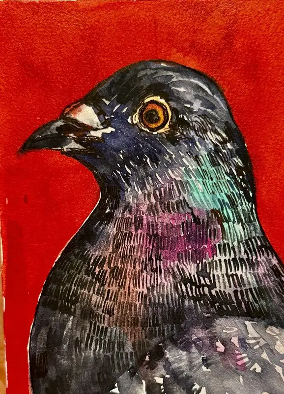 Akvarell Duva porträtt av Ekaterina Dutkevich