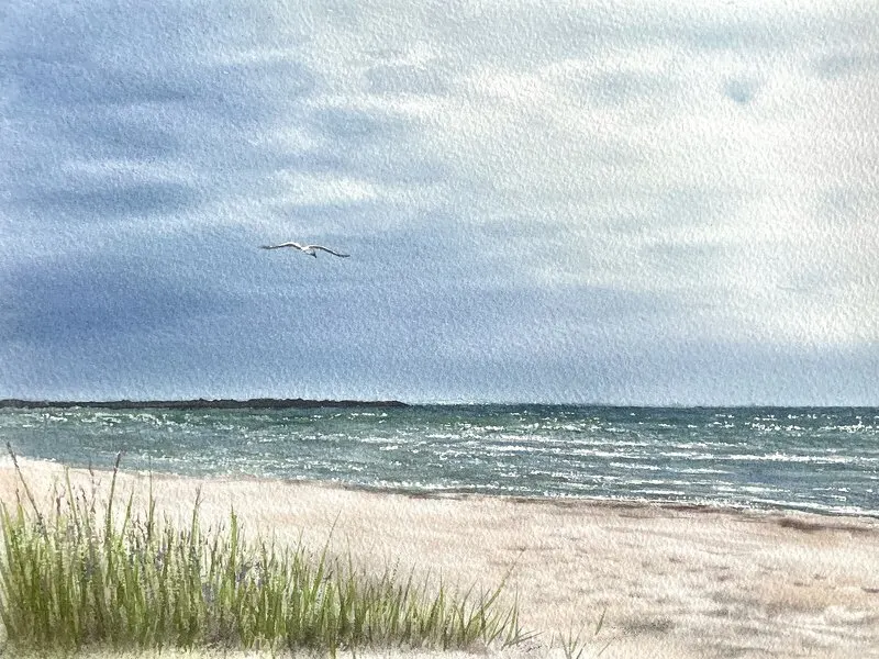 Akvarell Måsen vid stranden av Jeanette Malmberg