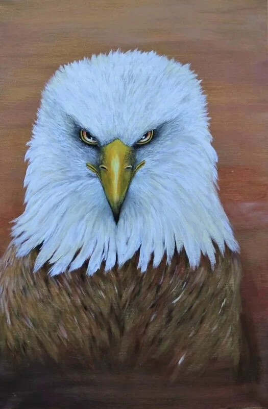 Akrylmålning Eagle eye av Maria Borgring ( Fd Lindberg)