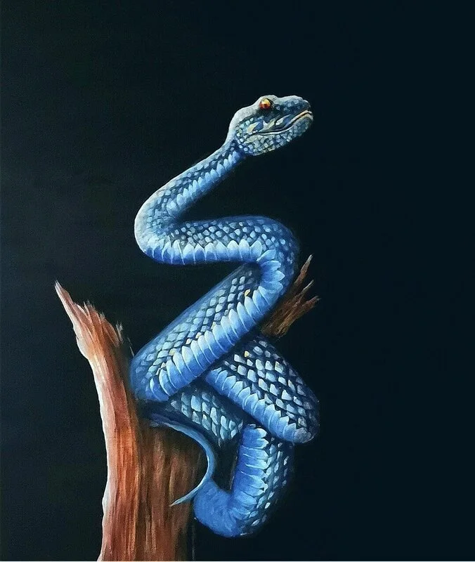 Akrylmålning Snake beauty av Maria Borgring ( Fd Lindberg)