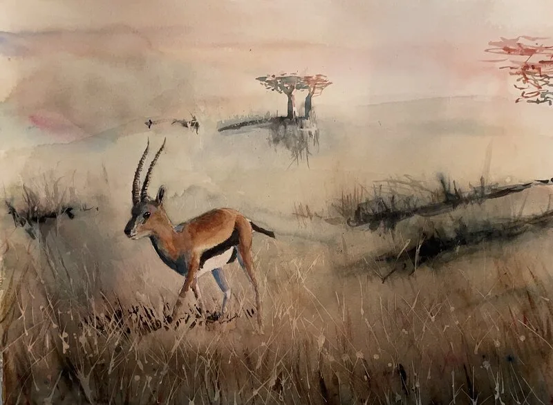 Akvarell Gazelle av Martin Hartmann