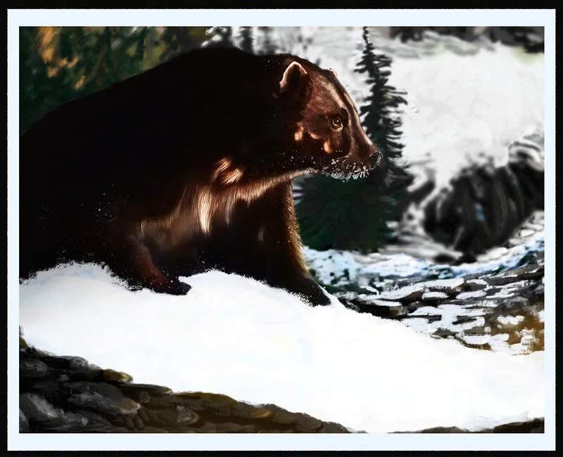 Järv av Carl Birath