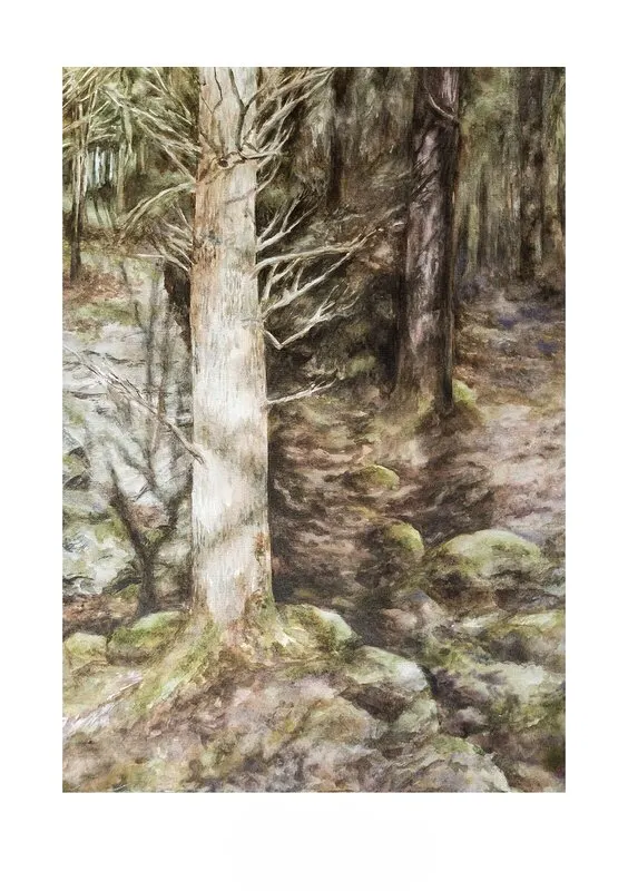 Akvarell Skog i starkt solljus av Donia Krook