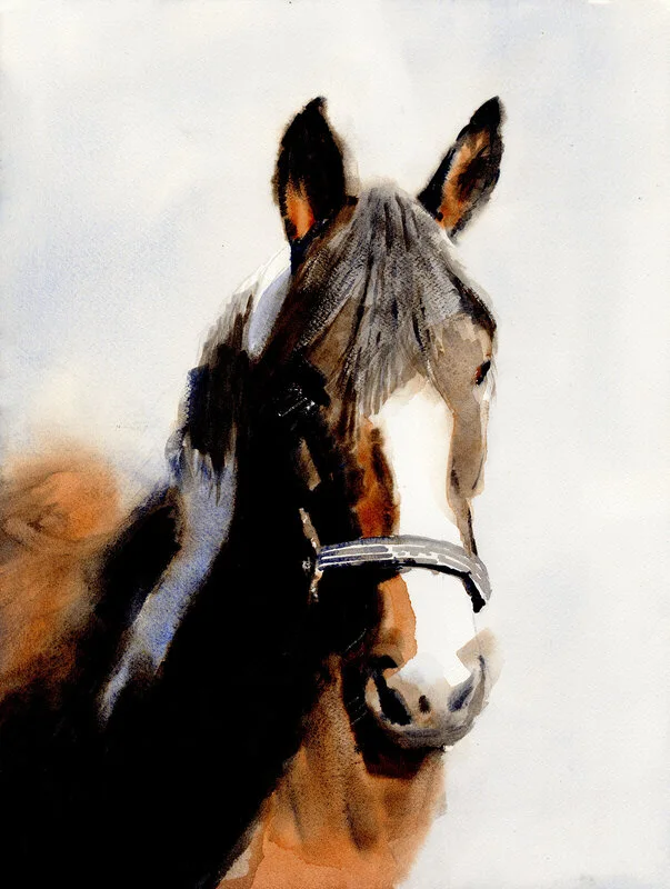 Akvarell Pepper av Bea Carlsson