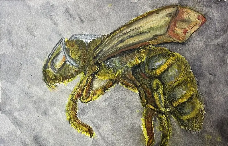 Akvarell Bizzie Bee av Gunilla Palusa