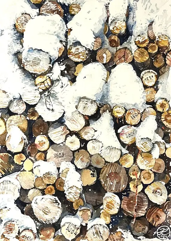 Akvarell Timmer av Johannes Knuuth