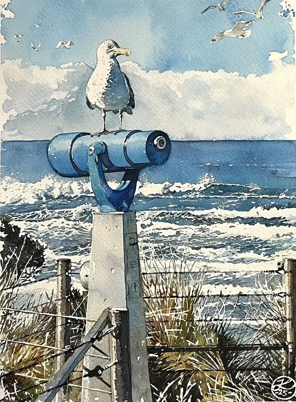 Akvarell Seagulls av Johannes Knuuth