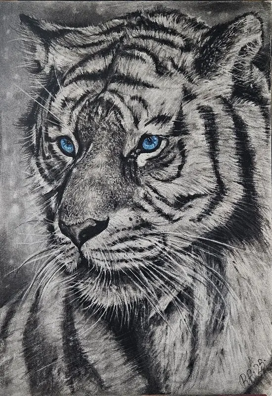 Tiger av Rickard Forsberg