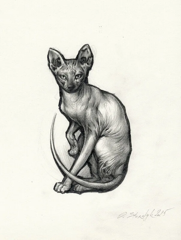 Sphynx av Olga Sternyk