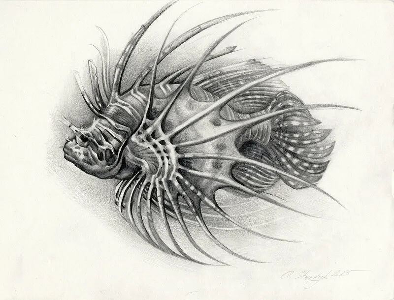 Fisken av Olga Sternyk