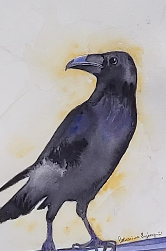 Akvarell Raven av Catharina Engberg