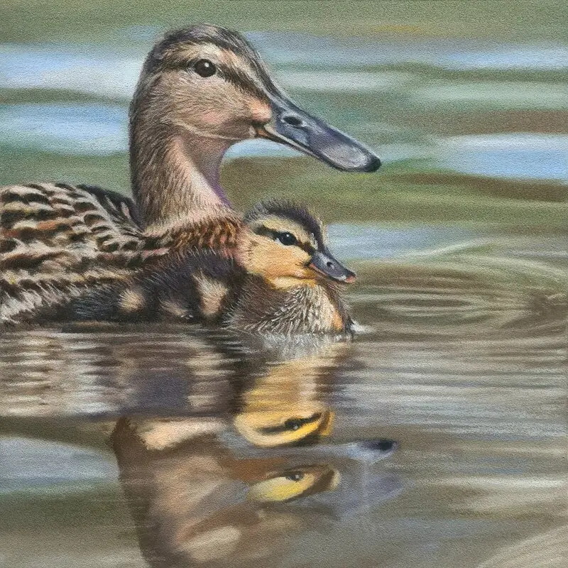 Gräsänder av Kajsa Sjöner