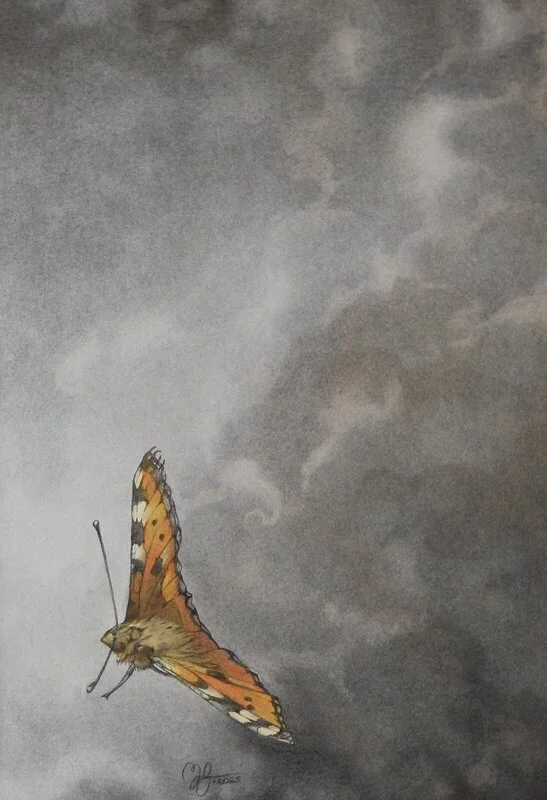 Vilse av Moa Naalisvaara Engman