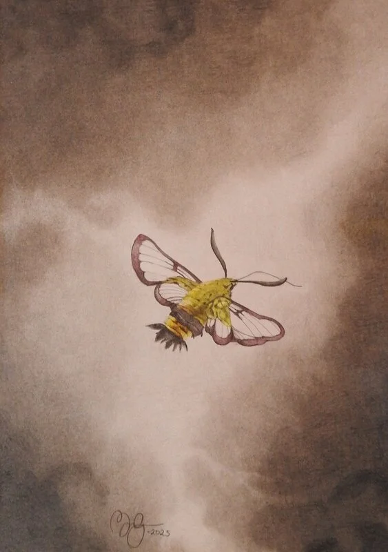 Fé av Moa Naalisvaara Engman