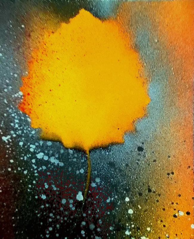 Mimosa lövet av Robert Landström