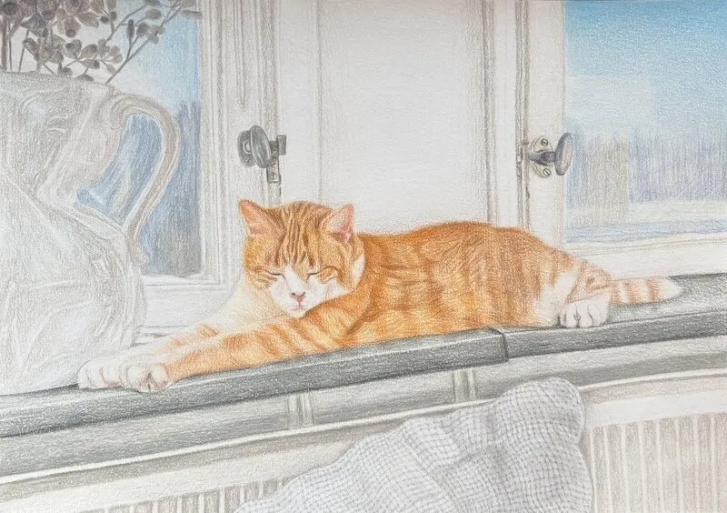 Katt i fönster av Caroline Börjesson