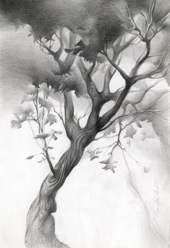 Lönnträd av Olga Sternyk