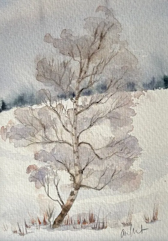 Akvarell Fjällbjörk av Anna Wolf