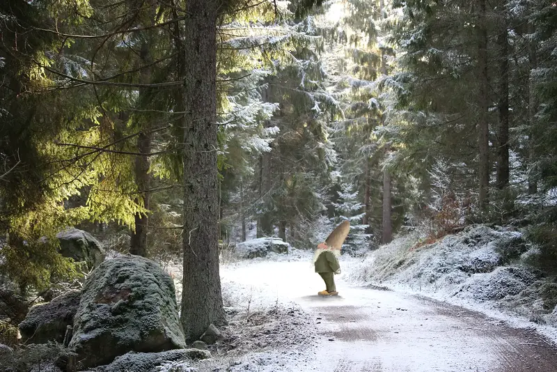 Kammarbo tomten av Åsa Halin