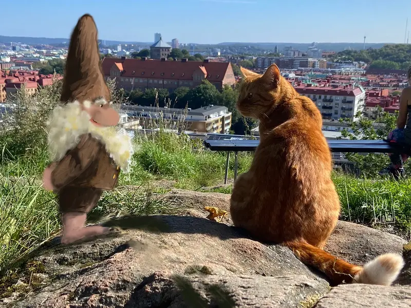 Tomten Katten och Göteborg av Åsa Halin