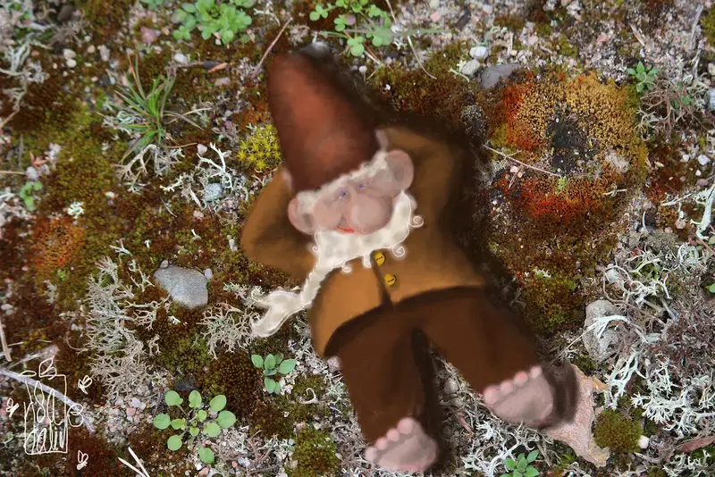 Tomten på Örarevet av Åsa Halin