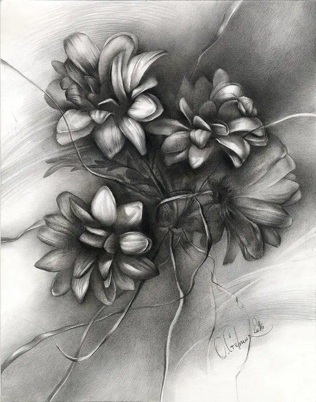 Aster av Olga Sternyk