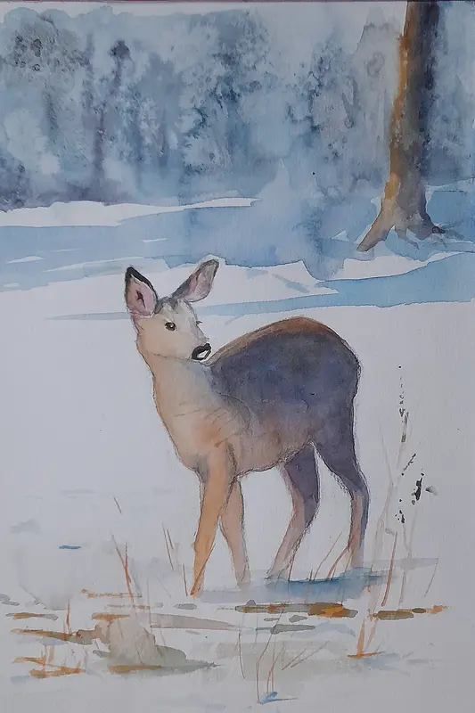 Akvarell Rådjurskid en solig vinterdag av Petra Skogsberg