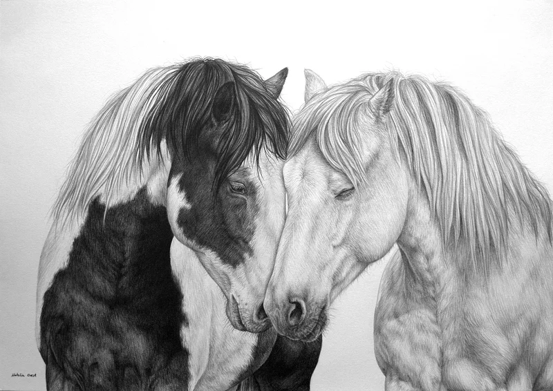 Guarded by Love av Natalia Orest