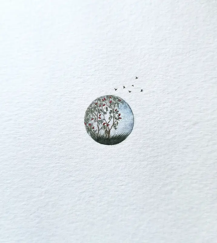 Akvarell Rosehip autumn av Anna Åström