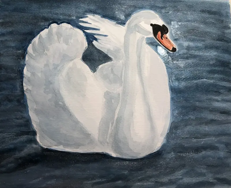 Akvarell Svan av Susanne Kovacs