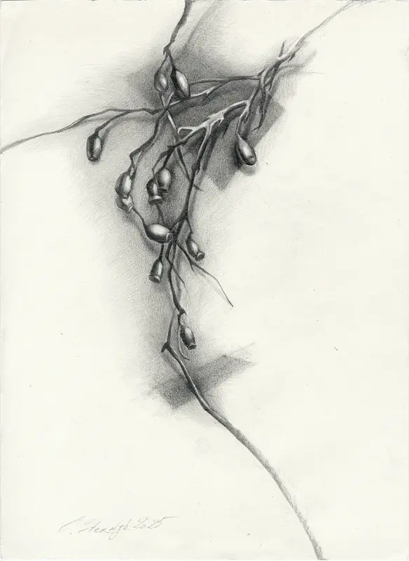 Nypon-2 av Olga Sternyk