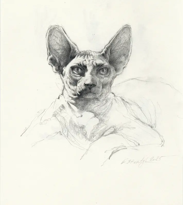 Sphynx-2 av Olga Sternyk